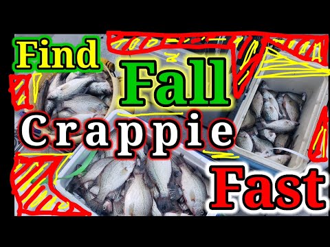 CRAPPIE Fishing FALL Transition How to find Crappie the EASIEST WAY