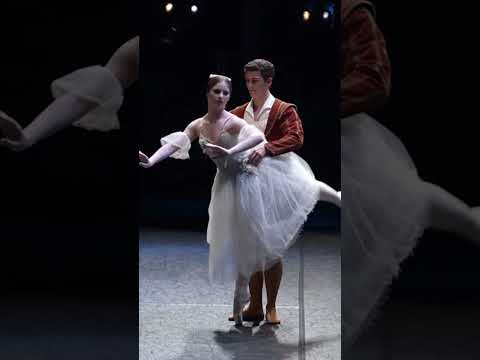 Dance Academy The Movie 🩰  #danceacademy  #danceacademythemovie