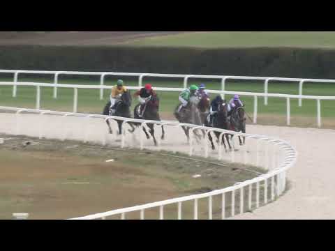 2022.11.06. 03. futam - LATIN LOVER HENDIKEP (III.o.) (szintetikus pálya)