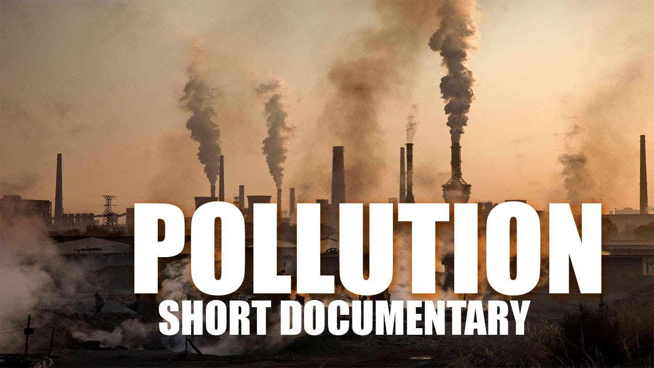 Putar video POLLUTION | Short Documentary sekarang POLLUTION | Short Documentary