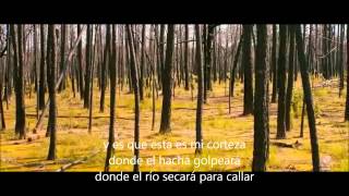 Barro tal vez Luis Alberto Spinetta