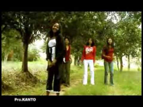 stellah ho anao ny dera