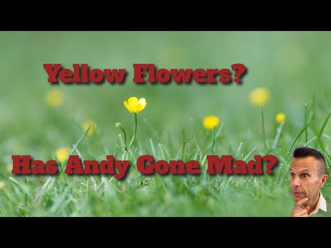 Andy's Business Coaching Ltd video.