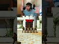 Country Roads Shorts
