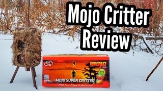 MOJO Super Critter