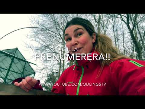 Jord för pallkragar och högbäddar sluta släpa jordsäckar jordfabriken på plats i odlingen