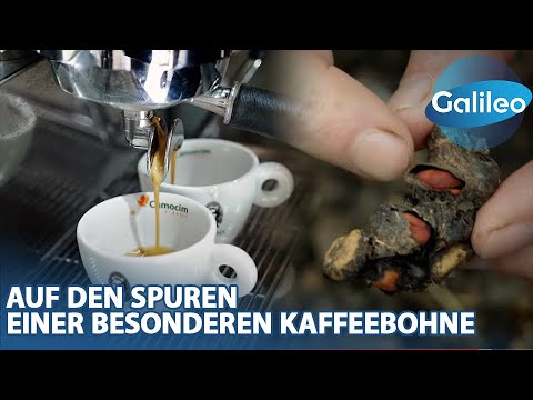 "It's crap, but it's worth its weight in gold!" - On the trail of one of the world's most expensi...