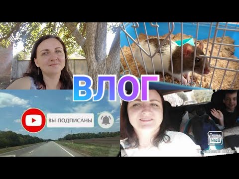 Автовлог / Ростов-Сальск / Кошки- мышки и арбузы )))