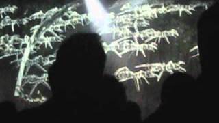 Jonsi - animal arithmetic (live)