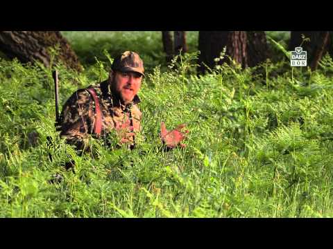 Darz Bór odc. 148 - Wyprawa na koziołka cz. 1