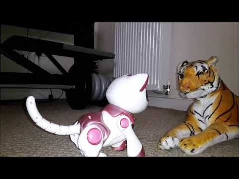 Teksta Robotic Kitty Playing with Toy Tiger