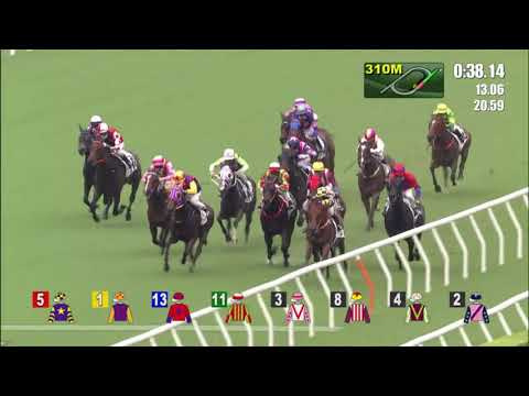 10/10/2021 (85) Sparkling Knight - Alfred Chan