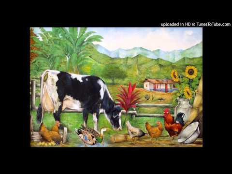 Campo - Paisaje sonoro