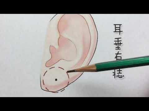 耳朵有痣男