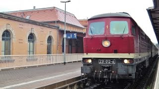 Sonderzug mit 231 012 trifft auf brandneuen &quot;Zittauer Gebirge&quot; Werbe-trilex VT 642 310