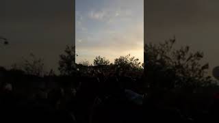 Hey Jen jenifer tranche sur mer 2019 festival