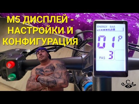 фото комплект электровелосипеда  bafang rm g0900.750.dc 36/48/52/60v 500/750/1000w brainpower 38a м5 0