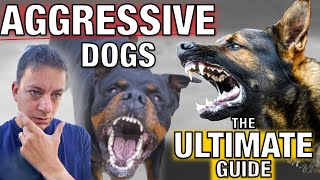 How To Stop Dog Aggression for Everyday People: The Ultimate Guide