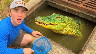 I Found Rare Fish in an Alligator Infested Sewer!