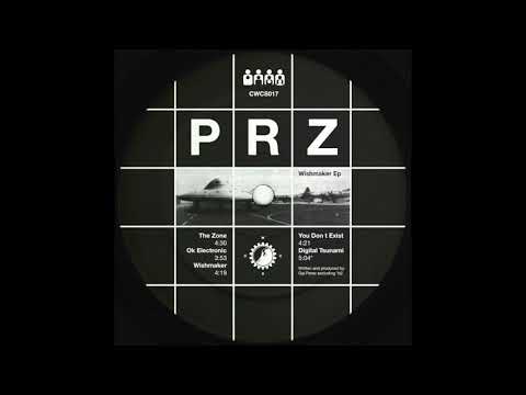 PRZ -  Digital Tsunami
