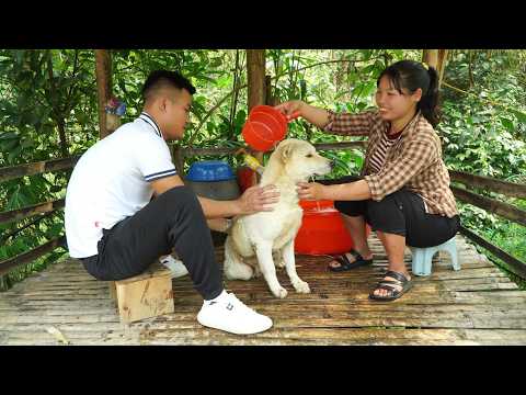 Preparing sticky rice with corn to sell at the market - A heartfelt story from him.