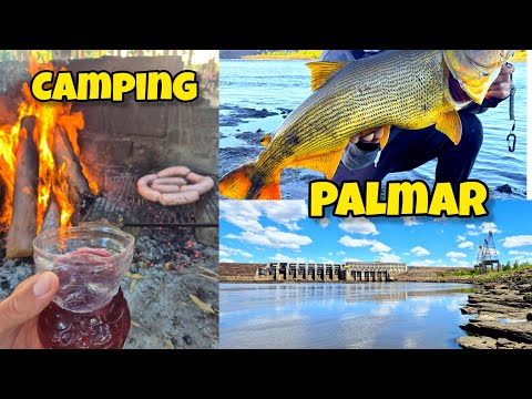 CAMPING REPRESA de PALMAR URUGUAY, DORADOS GIGANTES cazando a PRIMERA HORA