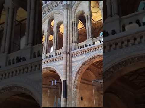 Hall de entrada do Museu de História Natural de Londres, ...esqueleto completo de uma baleia azul...