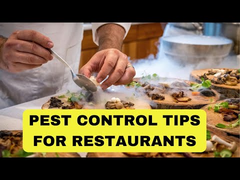 100% Effective Pest Control Strategies for Restaurants | Pest Control TIPS 2024.