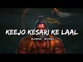 केसरी लाल Slowed Reverb Song Lakhbir Singh Lakha DJ Lofi VGLofiMusic