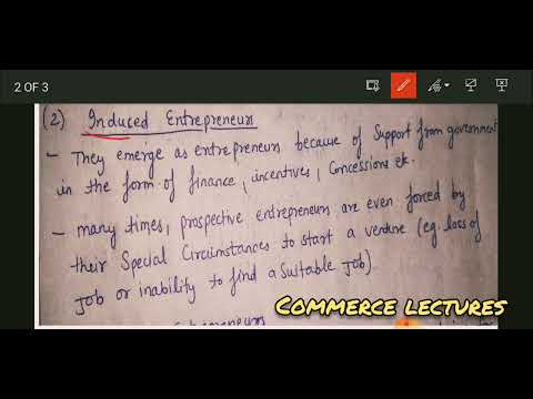 types of entrepreneurs and intrapreneurship innovative imitative fabian drone entrepreneurs