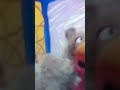 Elmo S World Pets DVD Genius Entertainment