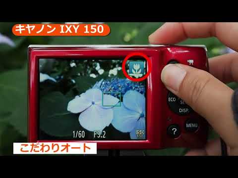 IXY 150 訳あり・ジャンク 8,900円 | ネット最安値の価格比較 プライス