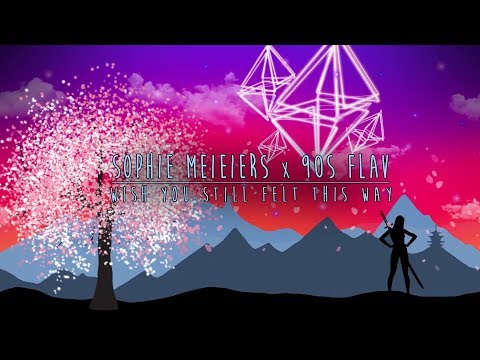 Sophie Meiers x 90sFlav - Wish You Still Felt This Way Animated Lyric Video