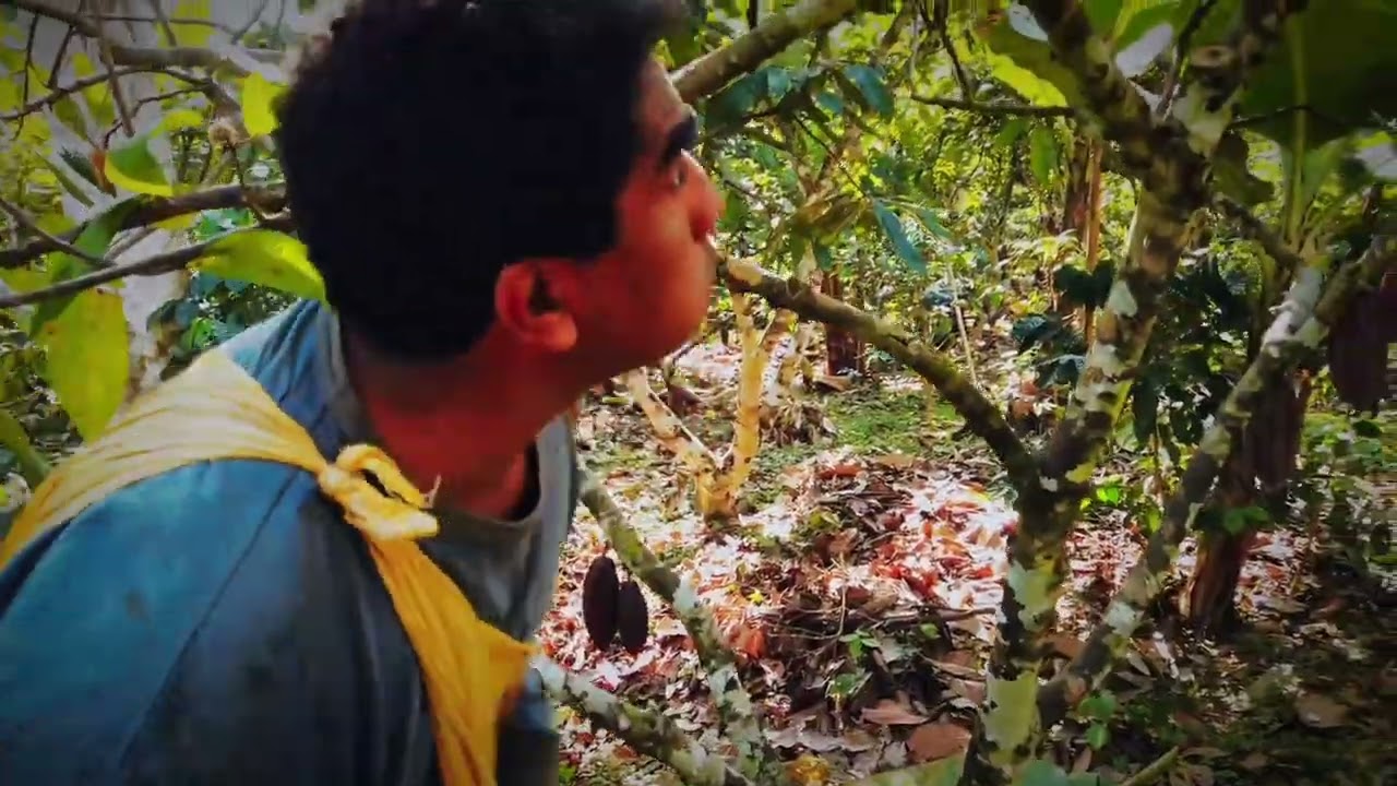 ECOTOP: Cultivando vida con agroforestería dinámica en Bolivia