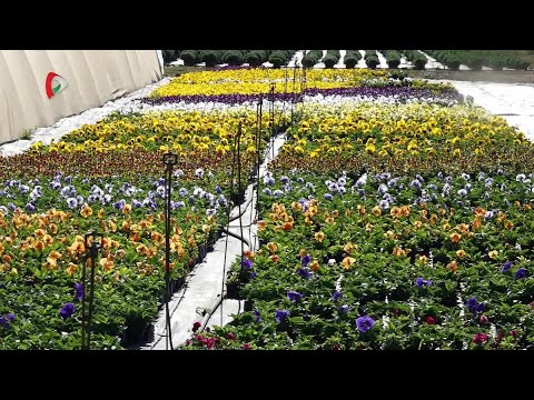 Pannon Gazda – 2025.10.03.