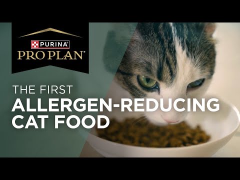 See How Purina Pro Plan LiveClear Allergen Reducing Cat Food Works