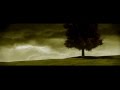 Paloalto Films 2006