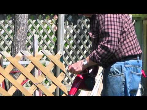 Gerald Painter - Life Story Digital Video