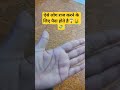 ऐसे लोग राज करने के लिए पैदा होते है Palmist