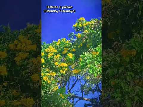 Disfruta el paisaje Sibundoy Putumayo #disfrutaelpaisaje #sibundoyputumayo