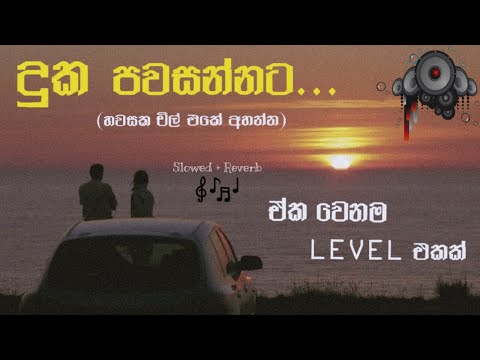 Duka Pawasannata ( දුක පවසන්නට ) || ඒක වෙනම Level එකක්|| music taste  || Slowed+Reverb song 🥺🎧❤️‍🩹