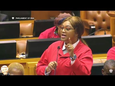 EFF vs Deputy Speaker Lechesa Tsenoli - AGAIN