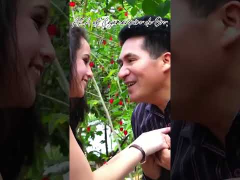 LOS ALEGRES DE BAMBAMARCA - MI CAPULÍ.