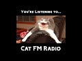 Cat FM Radio | Broadcast One