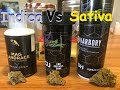 Indica Vs Sativa Strain Comparison