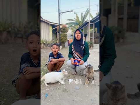 Semua kasih makan kucing#shorts