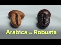 Arabica Vs Robusta Roastmarket