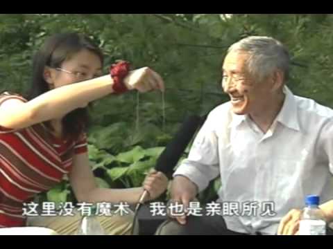 download lagu mp3 mp4 312, download mp3 312 free download, download mp3 312