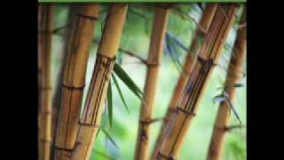 Relaxation music. Asian theme with nature sounds.