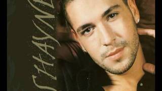 Shayne Ward-Stand By Your Side.avi